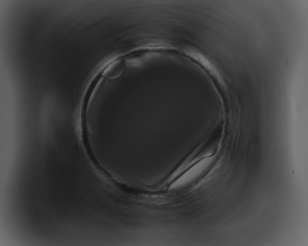 X0000100341229200806191017