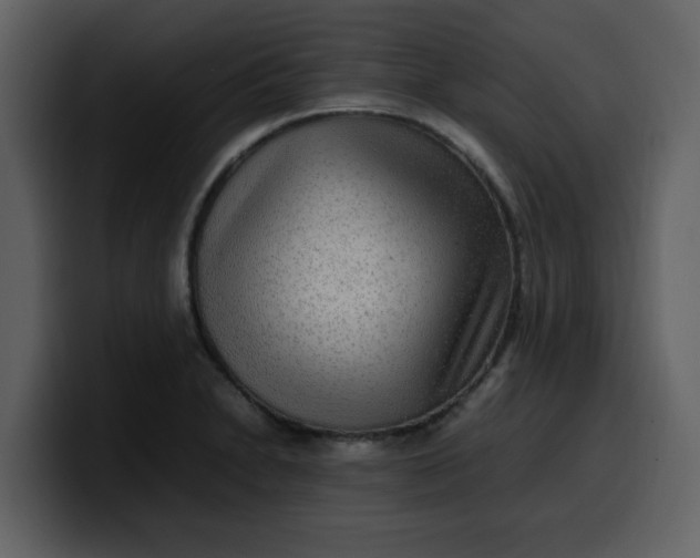 X0000100341230200806191017