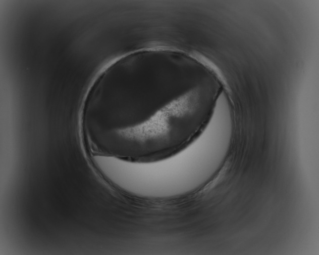 X0000100341231200806191017