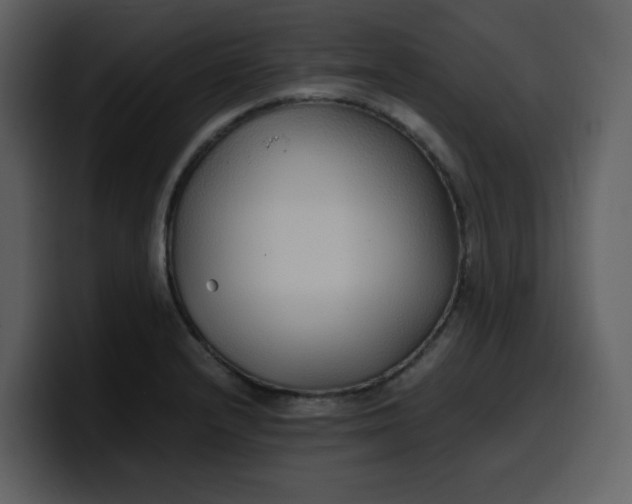 X0000100341232200806191017