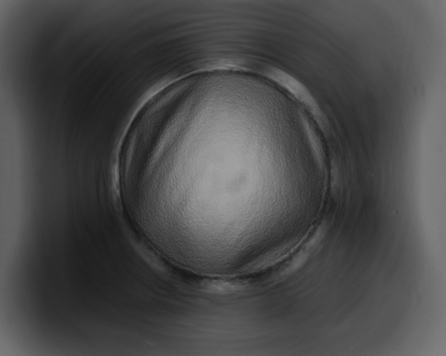 X0000100341234200806191017