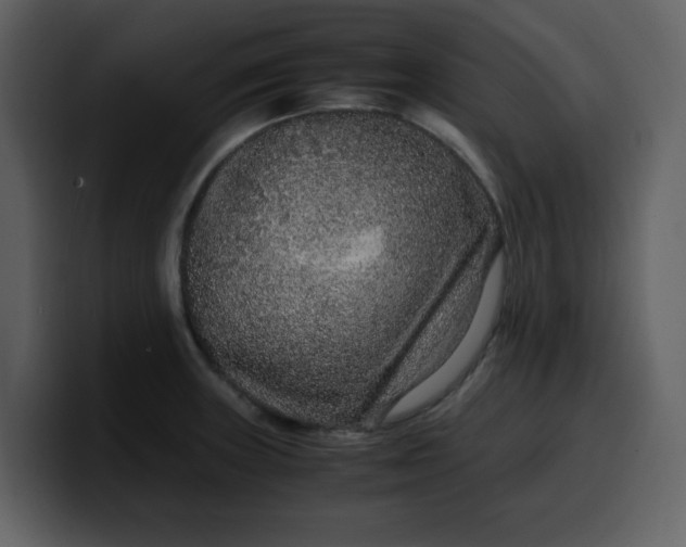 X0000100341235200806191017