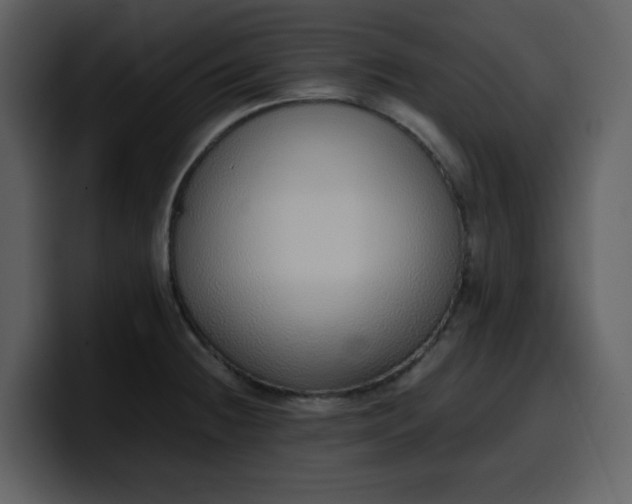 X0000100341236200806191017