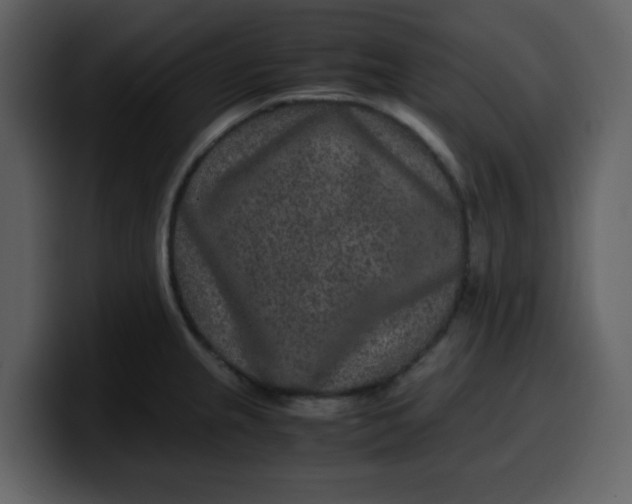 X0000100341237200806191017