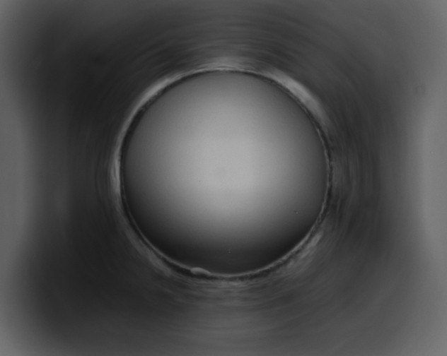 X0000100341238200806191017