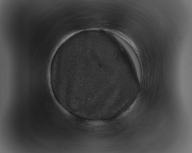 X0000100341239200806191017