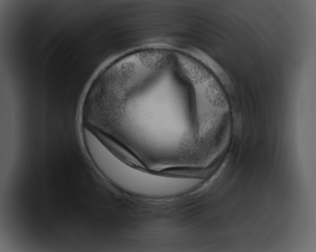 X0000100341240200806191018