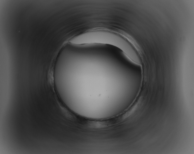 X0000100341241200806191018