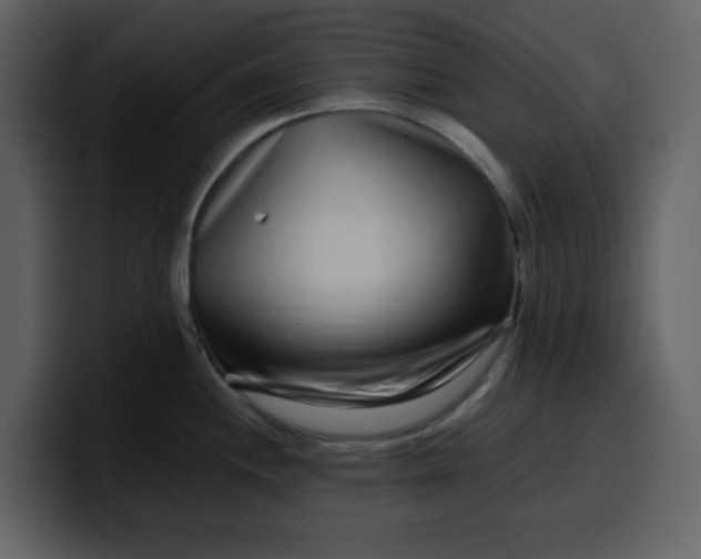 X0000100341244200806191018