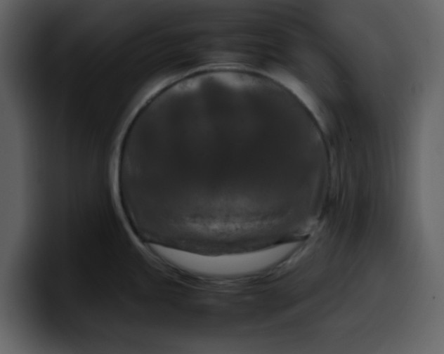 X0000100341245200806191018