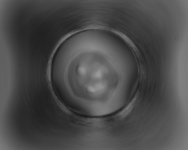 X0000100341246200806191018