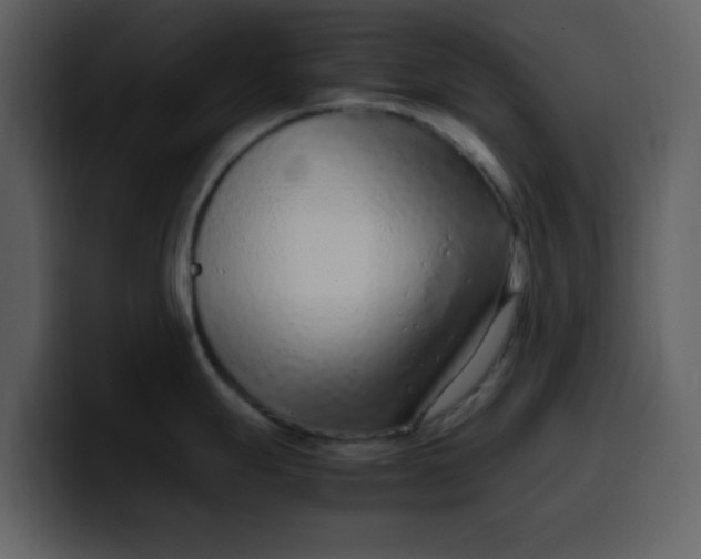 X0000100341247200806191018