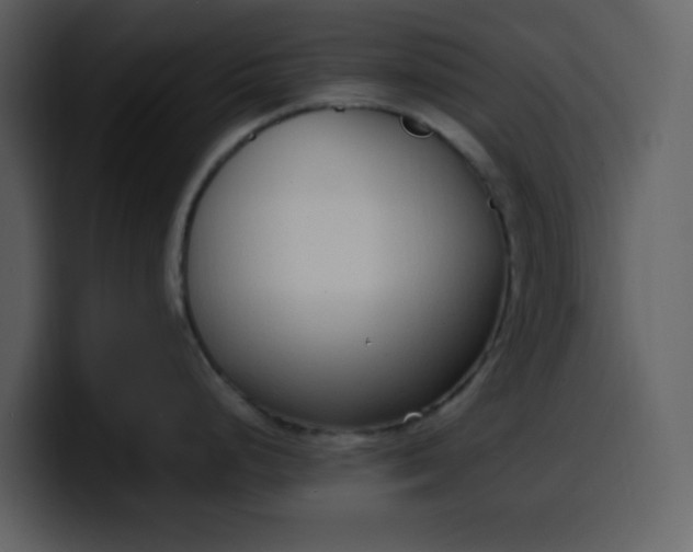 X0000100341248200806191018