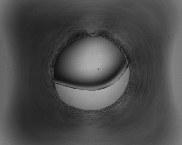 X0000100341249200806191017