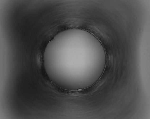 X0000100341250200806191017