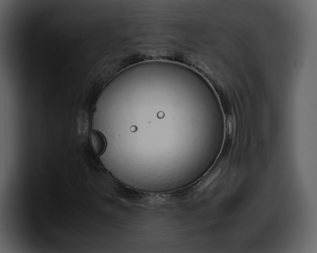 X0000100341251200806191017