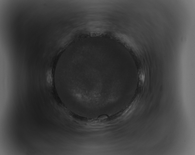 X0000100341252200806191017