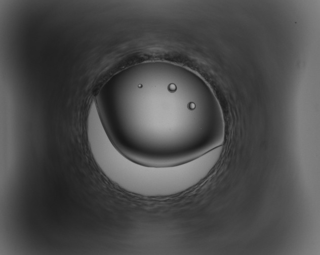 X0000100341253200806191017