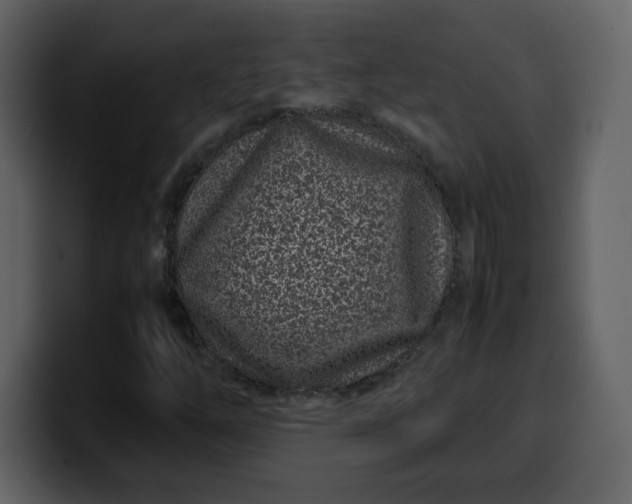 X0000100341254200806191017