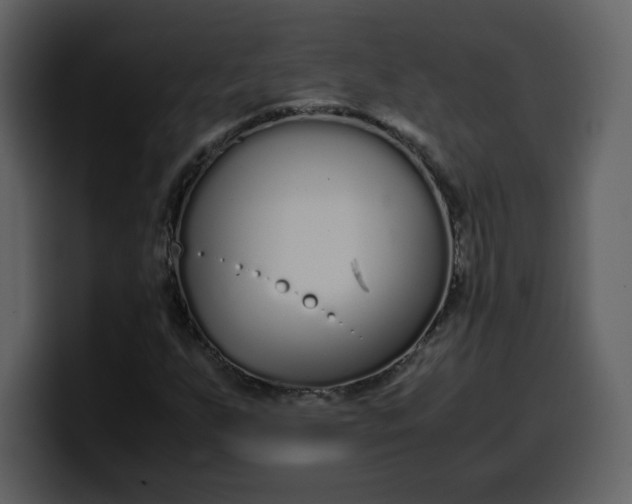 X0000100341255200806191017