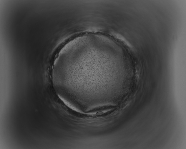 X0000100341256200806191017