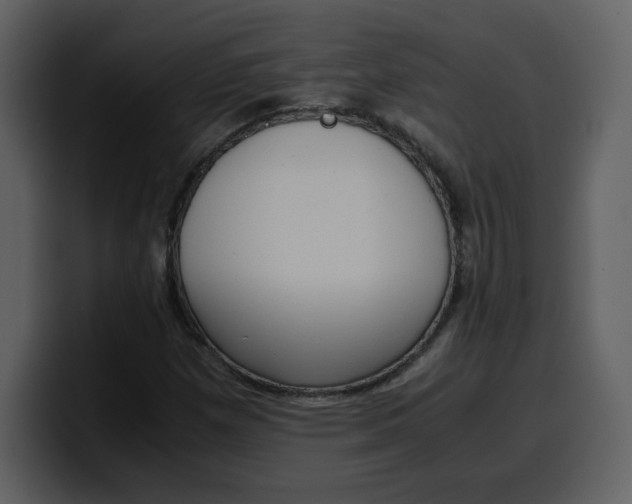 X0000100341257200806191017