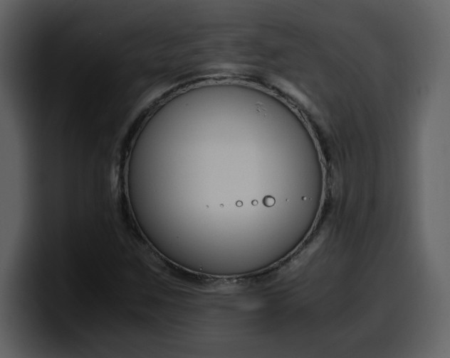 X0000100341259200806191017