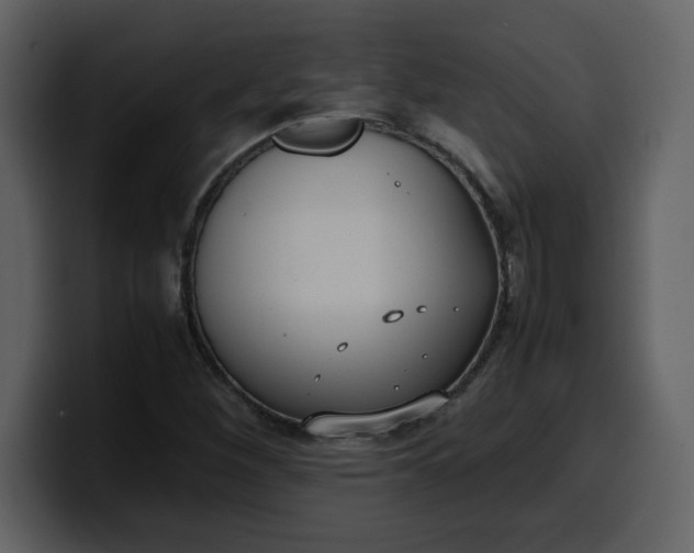 X0000100341260200806191017