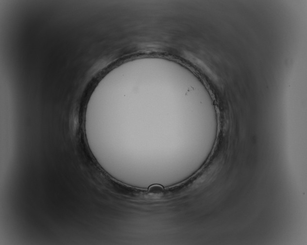 X0000100341261200806191017