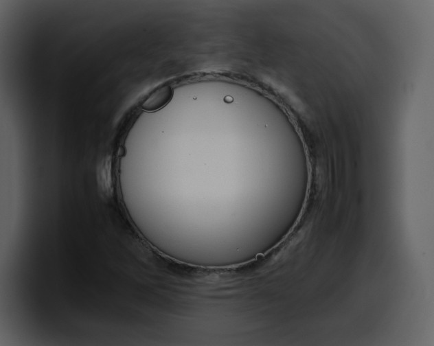 X0000100341262200806191017