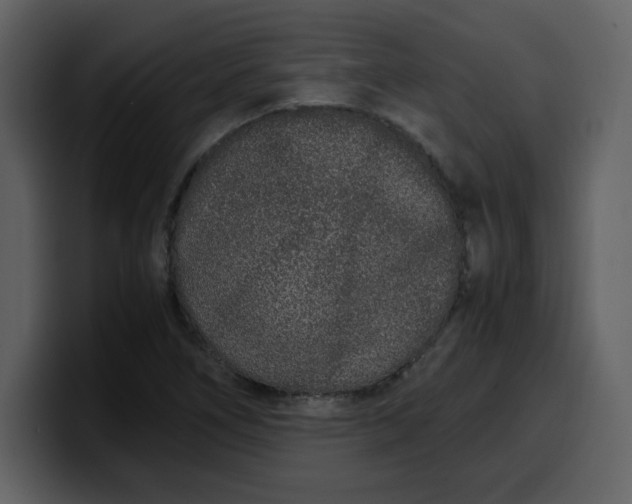 X0000100341266200806191017