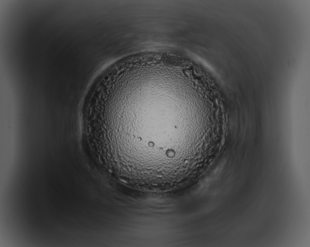 X0000100341267200806191017