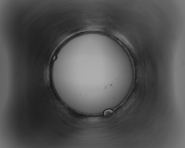 X0000100341268200806191017