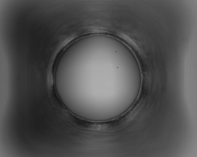 X0000100341269200806191017