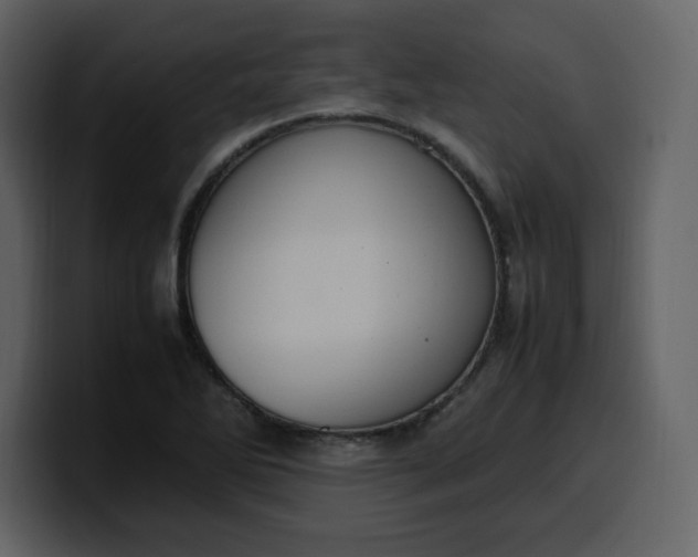 X0000100341270200806191017