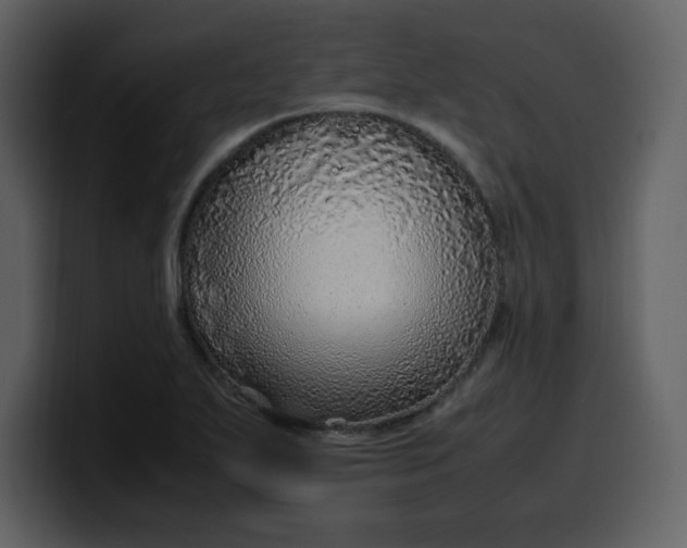 X0000100341271200806191017