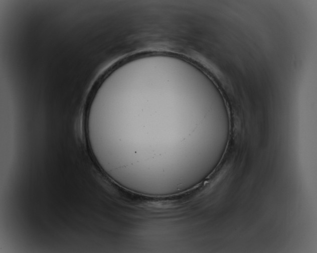 X0000100341272200806191017