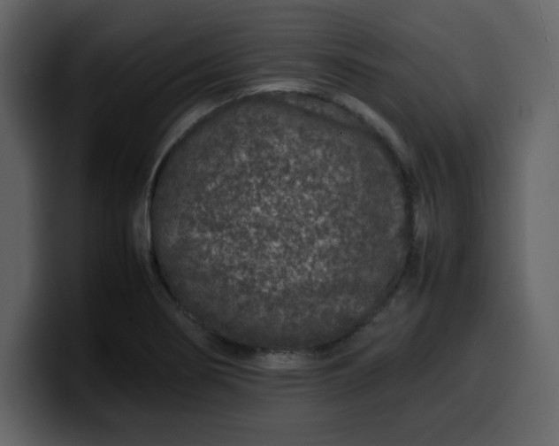 X0000100341274200806191017