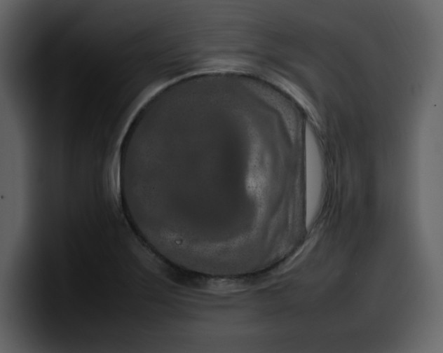 X0000100341275200806191017