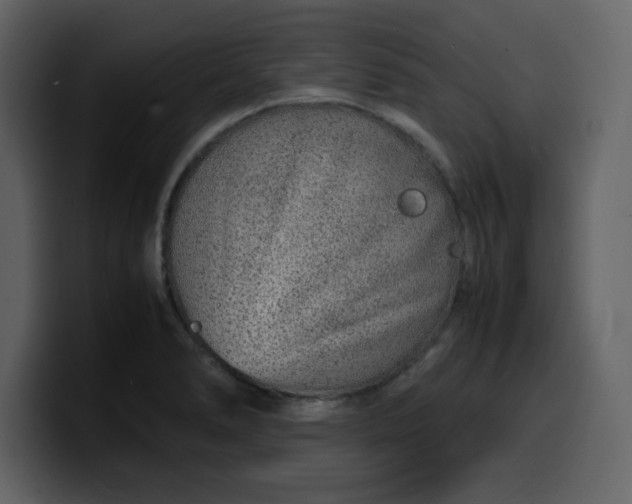 X0000100341278200806191017