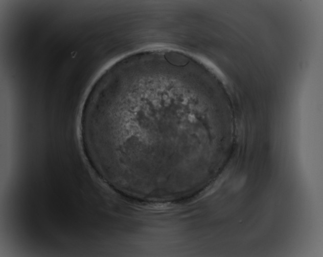 X0000100341279200806191017