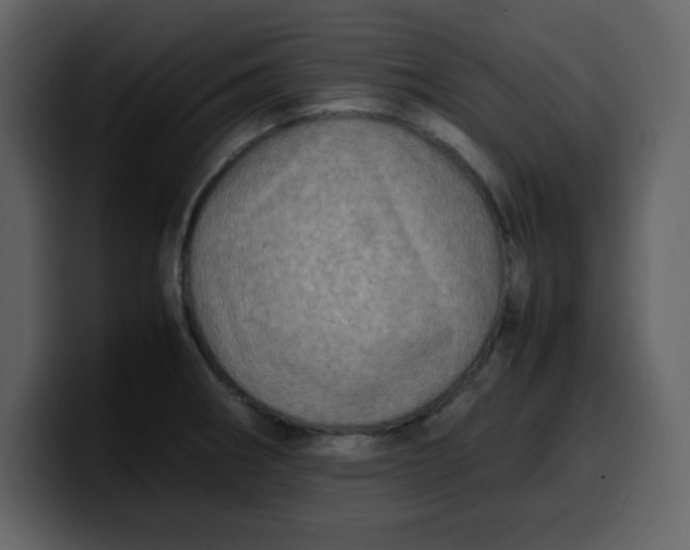 X0000100341282200806191016