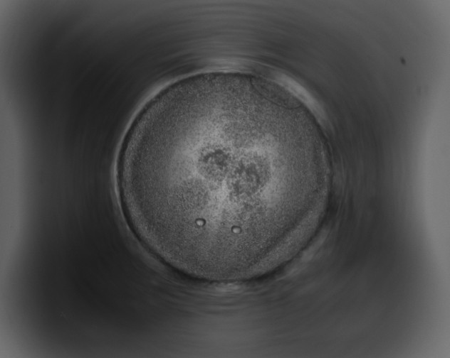 X0000100341283200806191016