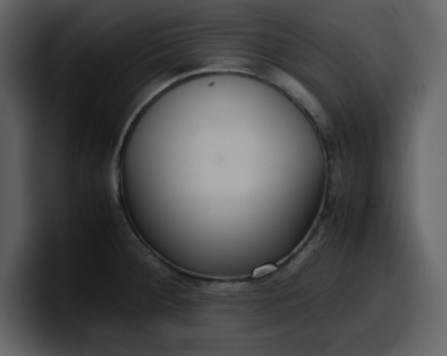 X0000100341284200806191016