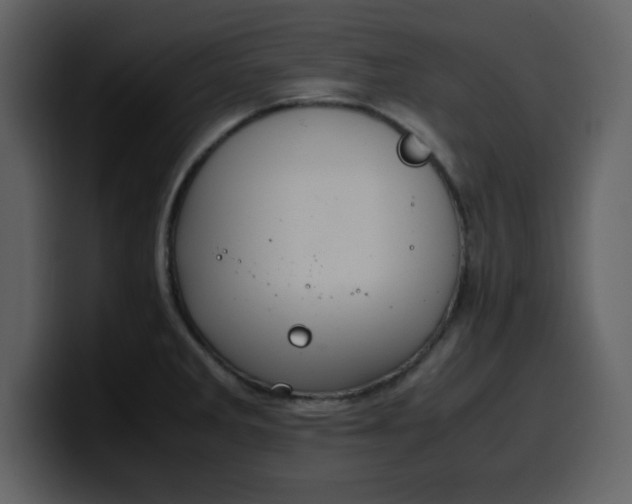 X0000100341285200806191016