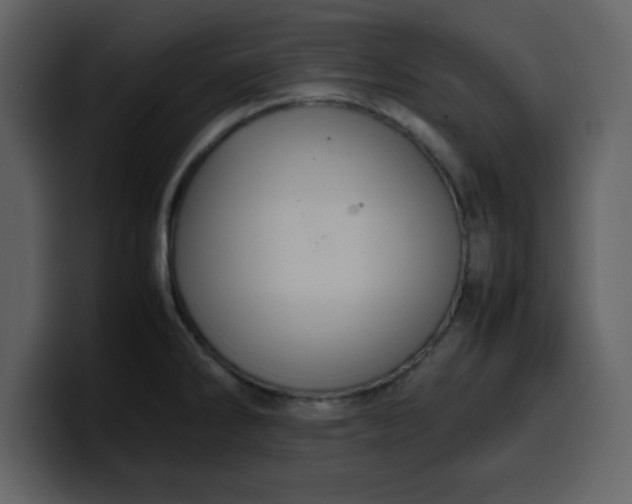 X0000100341286200806191016