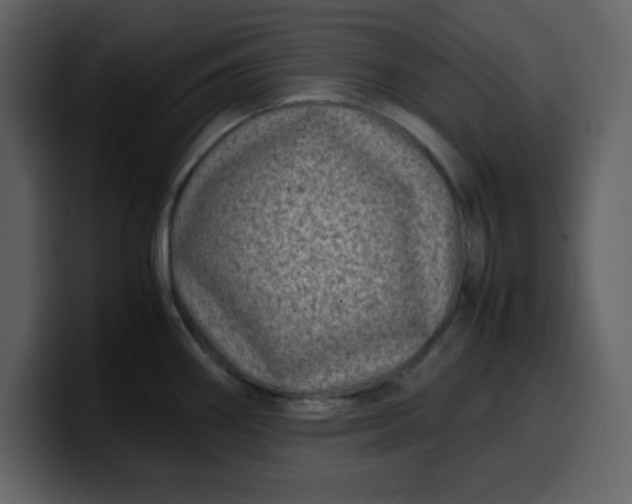 X0000100341290200806191016