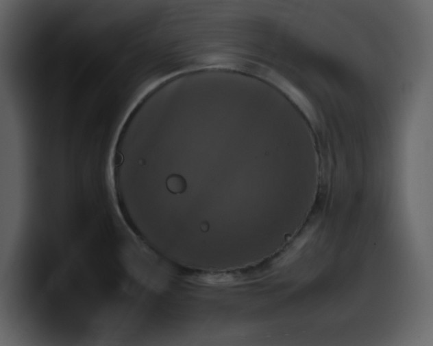 X0000100341291200806191016