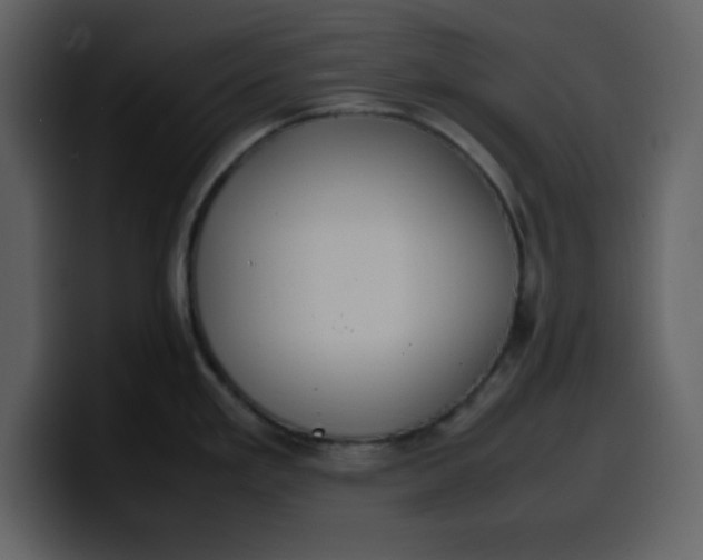 X0000100341293200806191016