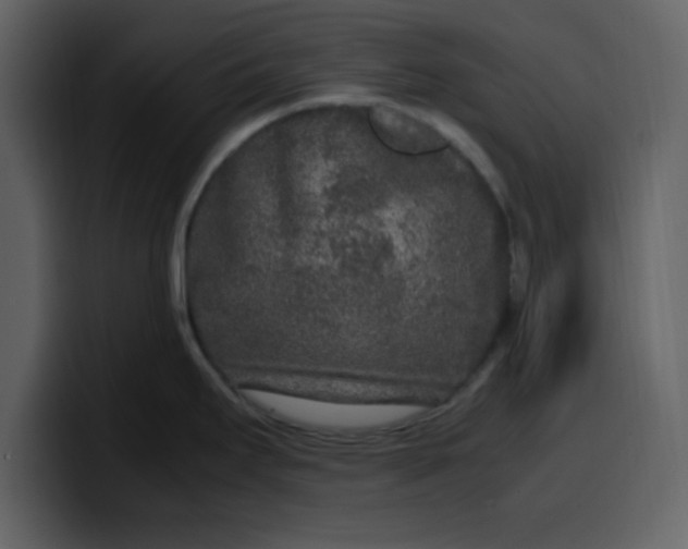 X0000100341295200806191016